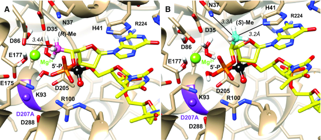 Figure 10.