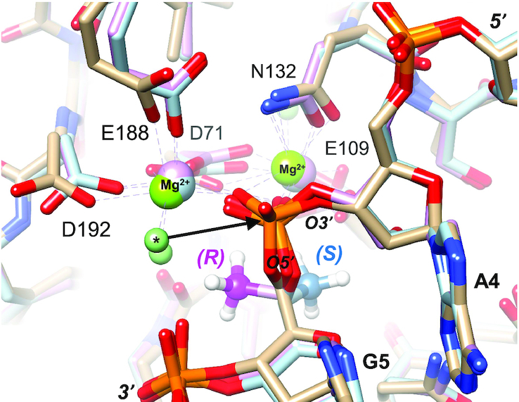 Figure 12.