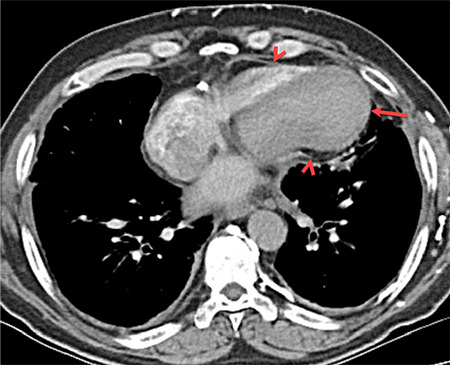 Supplementary Figure 6