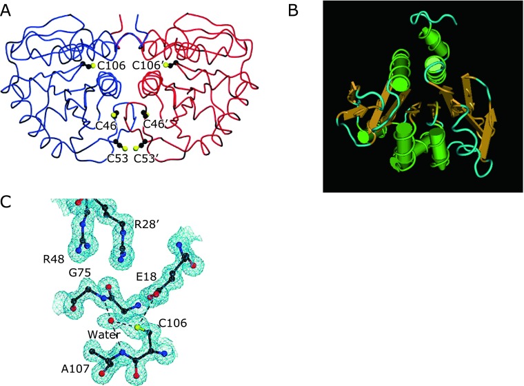 Fig. 3