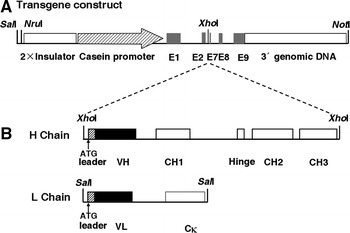 Fig. 1