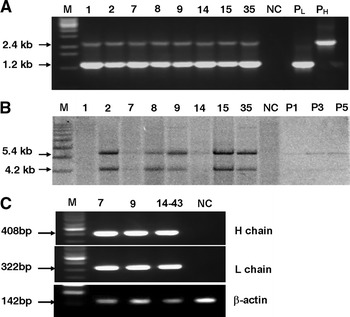 Fig. 2