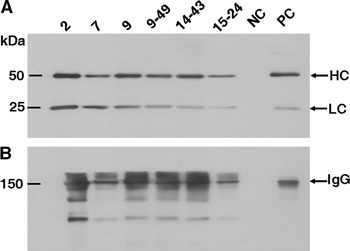 Fig. 3