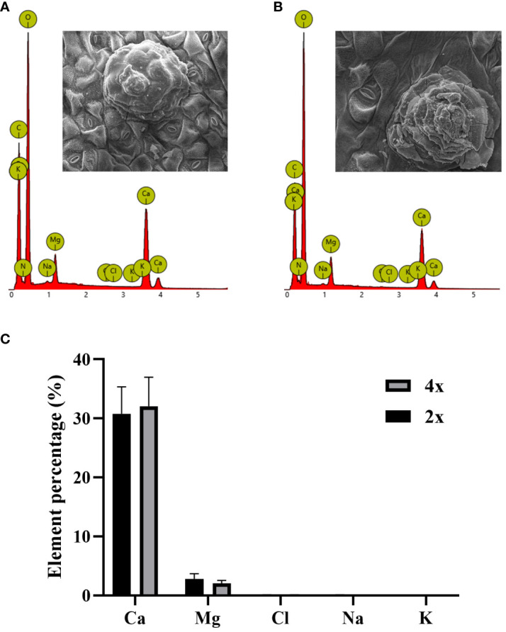 Figure 4