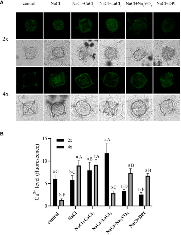 Figure 5