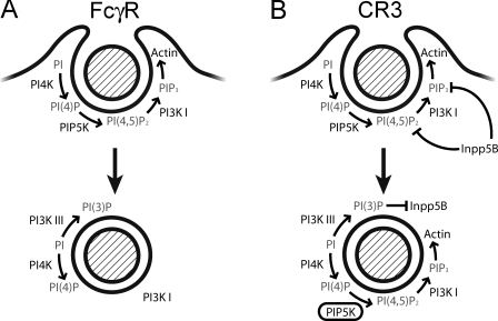 Figure 10.