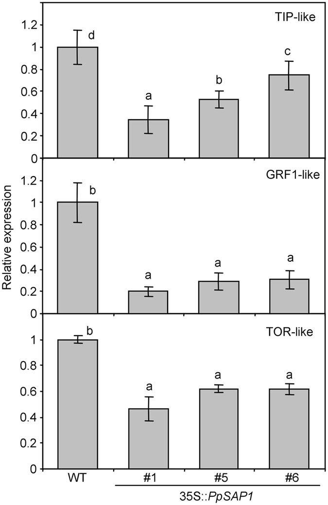 Figure 9