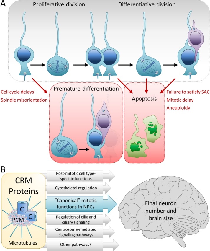 FIGURE 1: