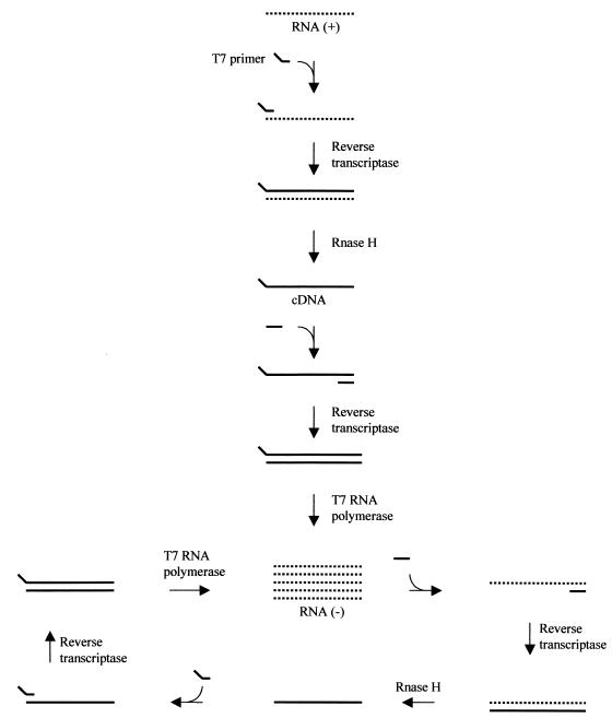 FIG. 1