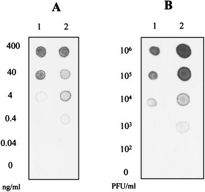 FIG. 5