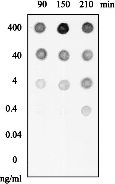 FIG. 3