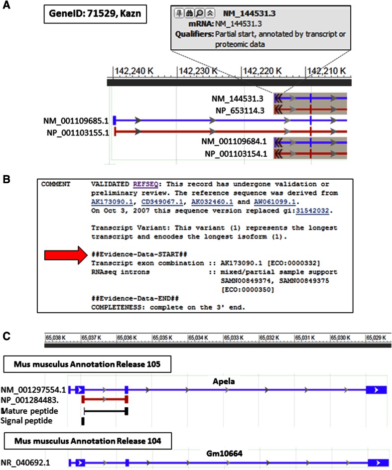 Fig. 2