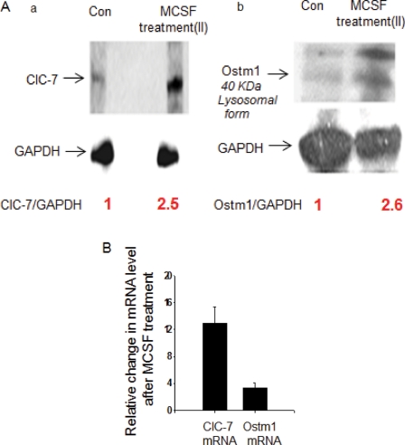 FIGURE 4: