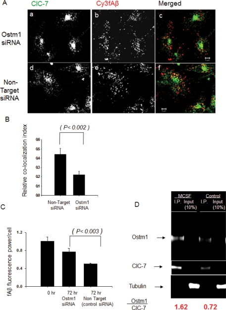 FIGURE 6: