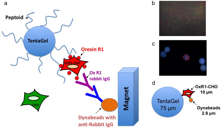 Fig 2