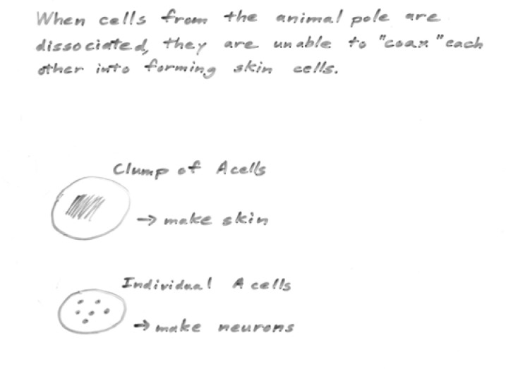 Figure 6b.