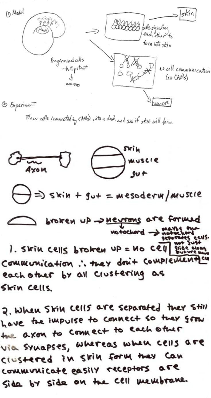 Figure 5b.