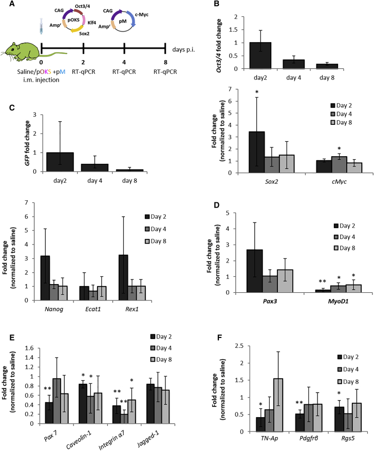 Figure 2