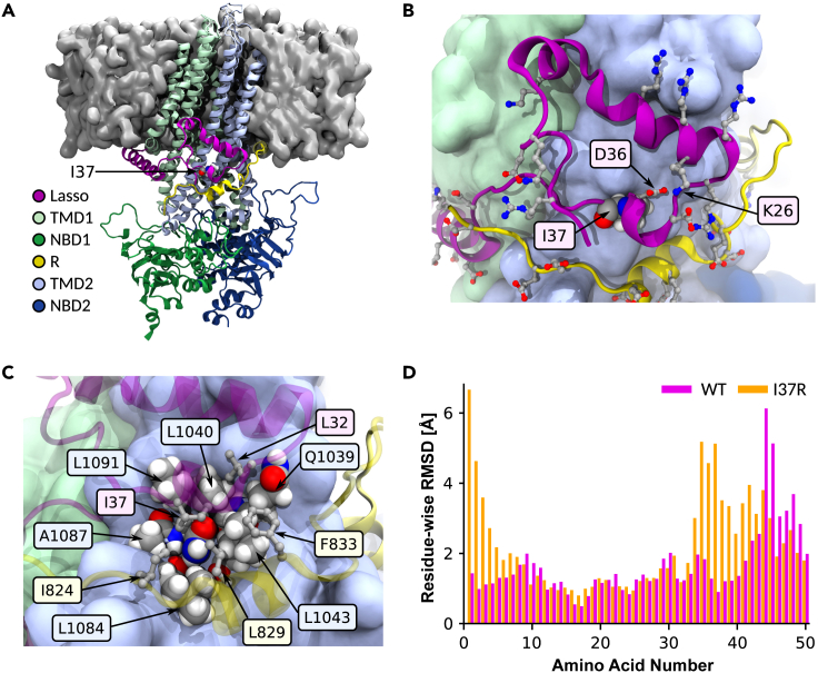 Figure 4