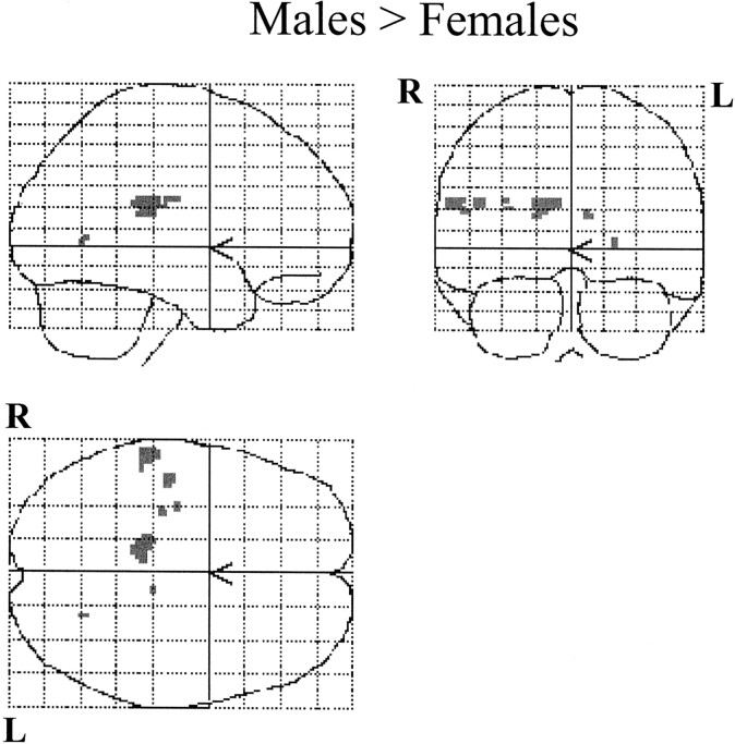 Fig 5.