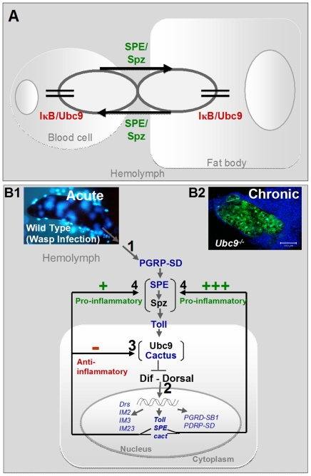 Figure 9