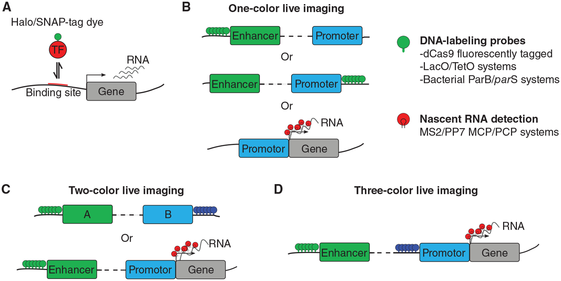 Figure 4.