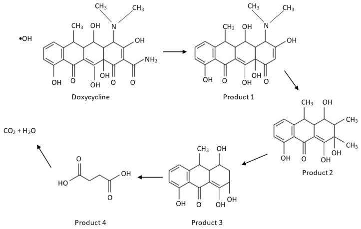 Figure 13