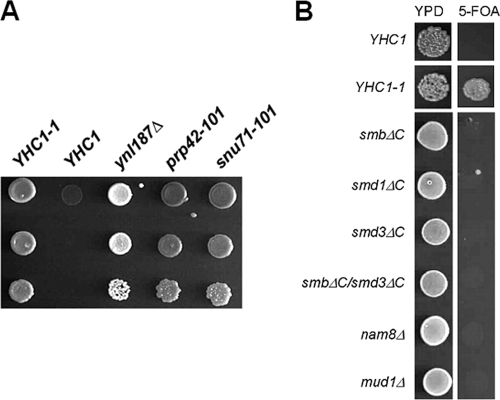 FIG. 2.