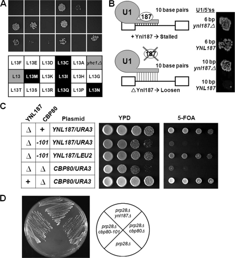 FIG. 4.