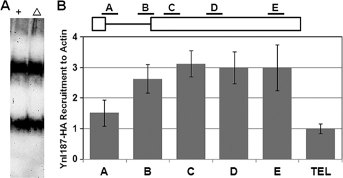 FIG. 6.