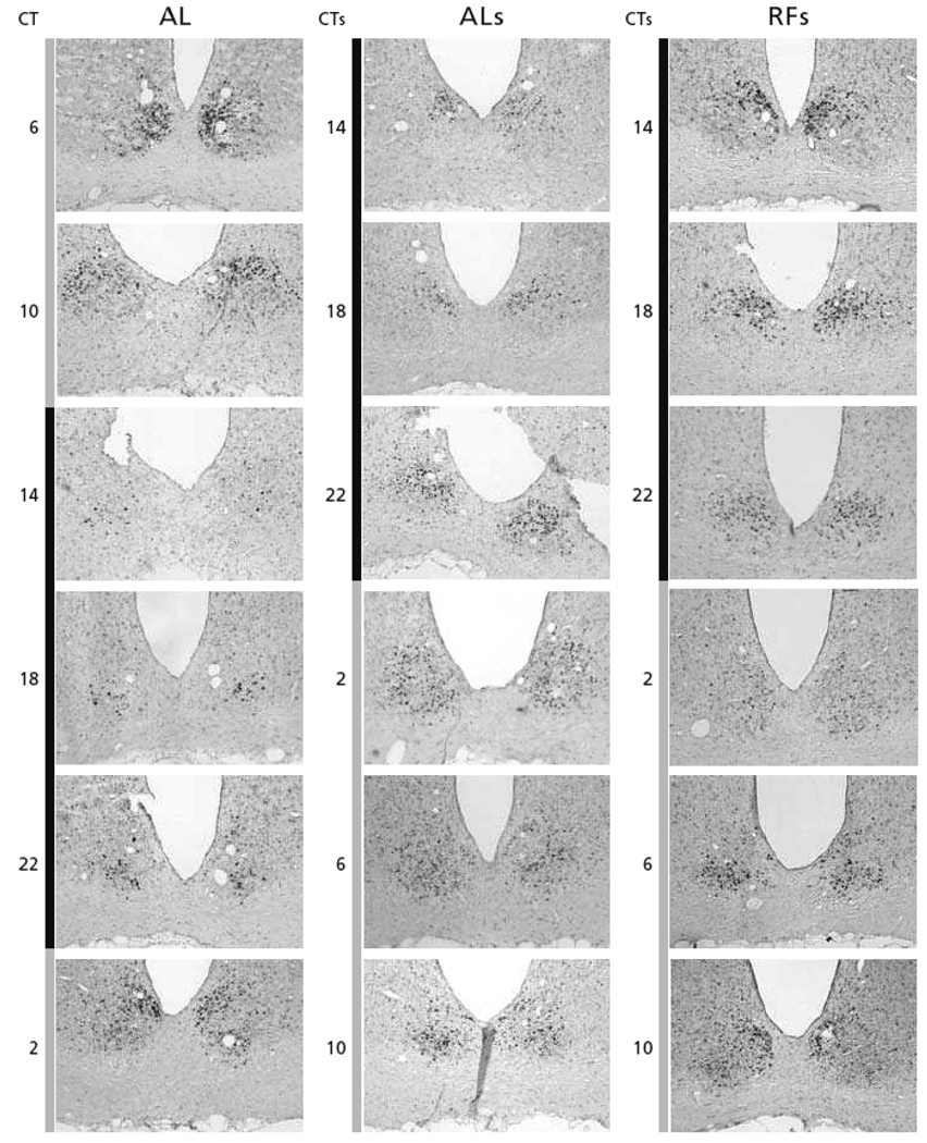 Fig.4