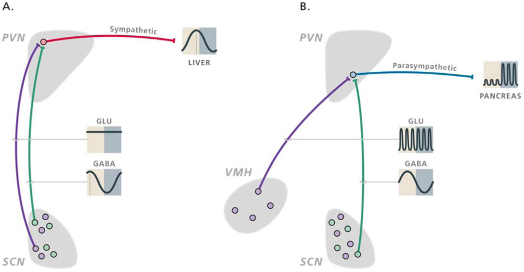 Fig.7