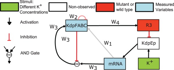 Fig. 5.