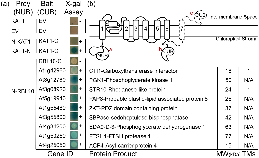 Figure 3.