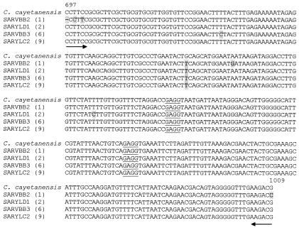 FIG. 3.