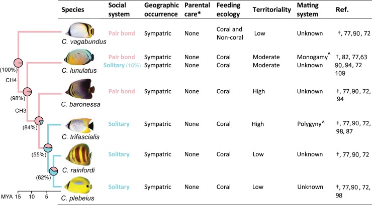 Fig 5