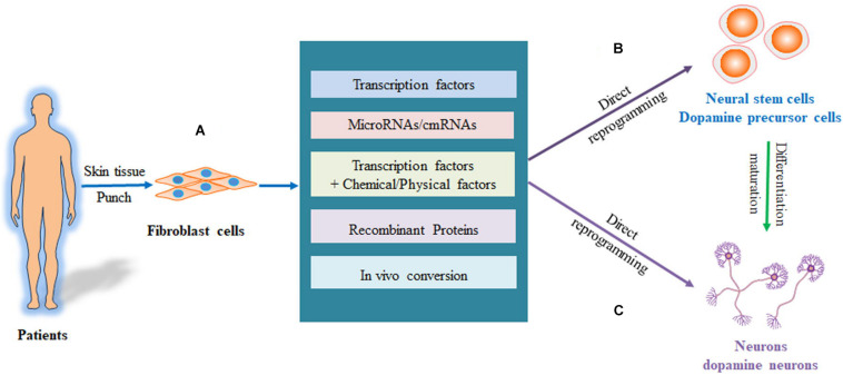 FIGURE 2