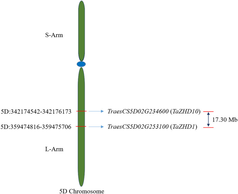 Figure 3