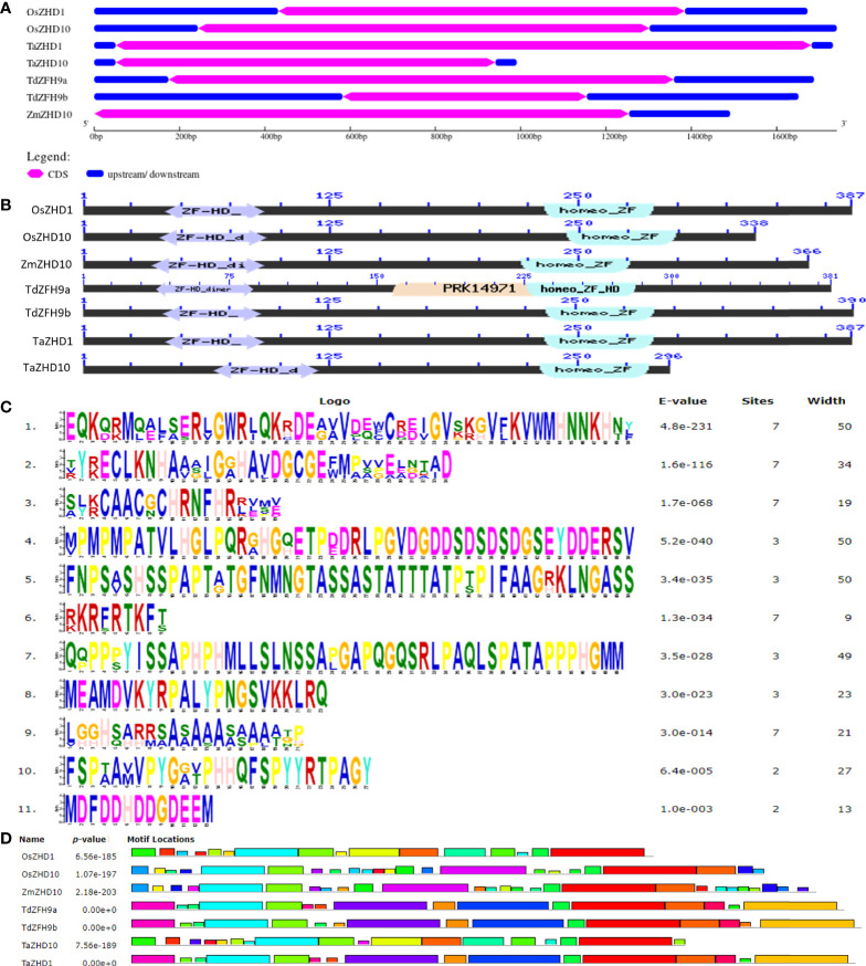 Figure 4