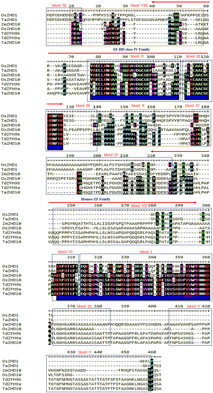 Figure 5