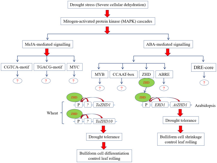 Figure 10