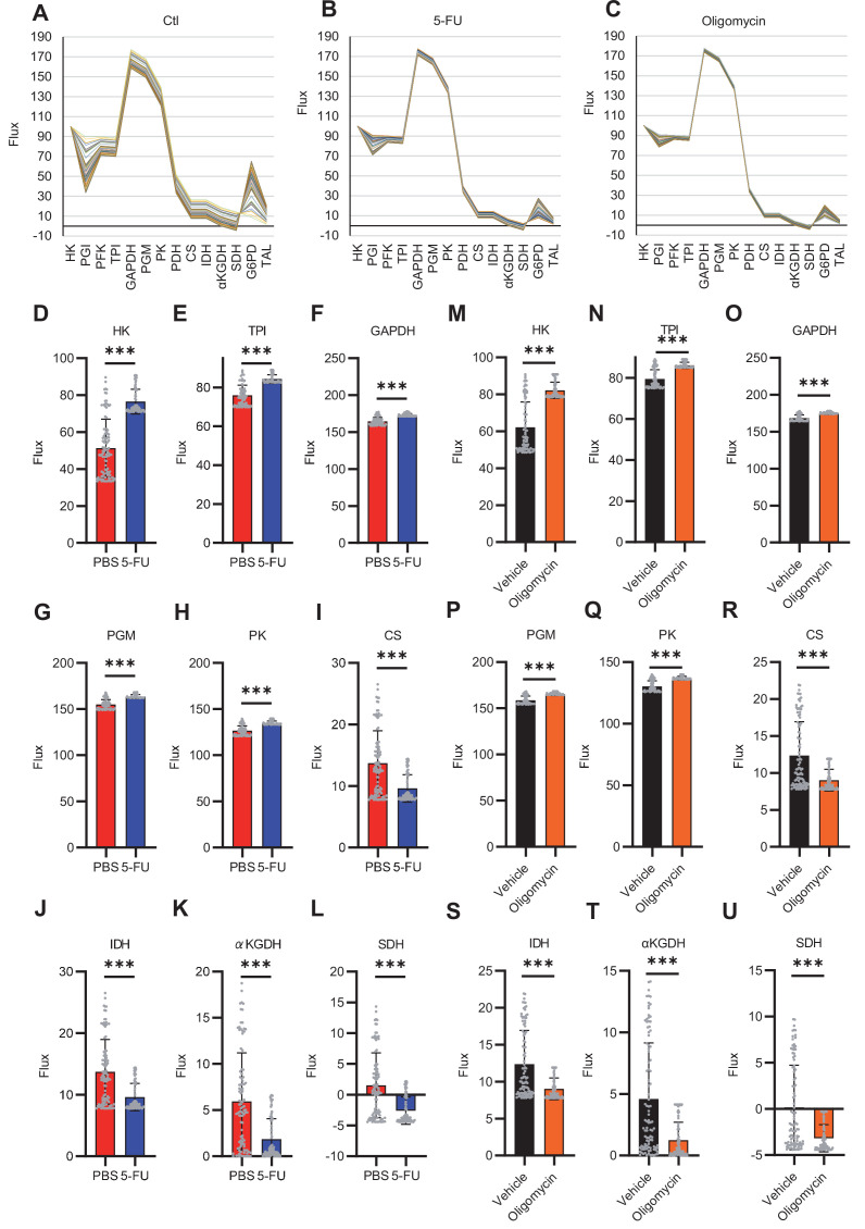 Figure 3—figure supplement 1.