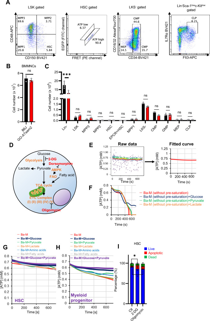 Figure 4—figure supplement 1.