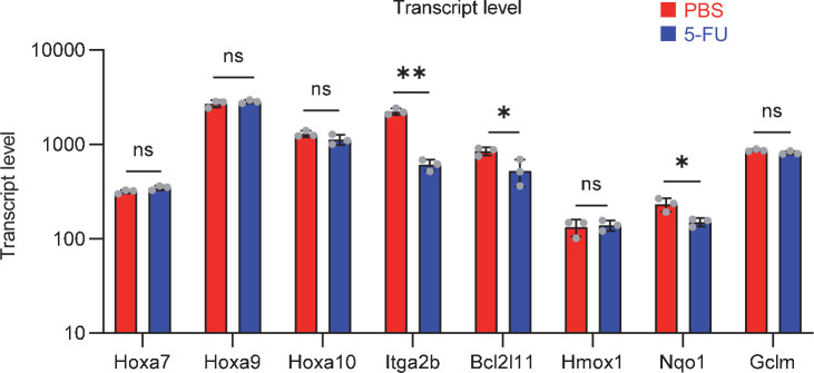 Figure 6—figure supplement 1.