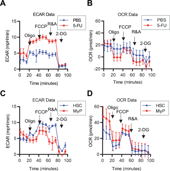 Figure 1—figure supplement 3.