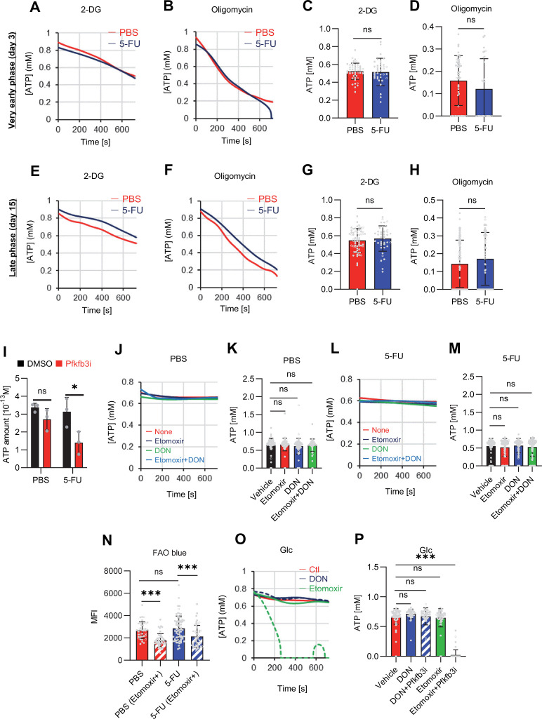 Figure 4—figure supplement 2.