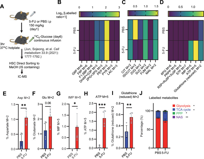 Figure 3—figure supplement 2.