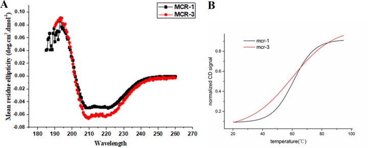 FIG 6