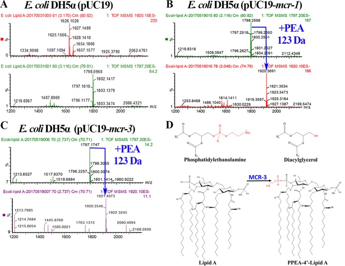 FIG 1