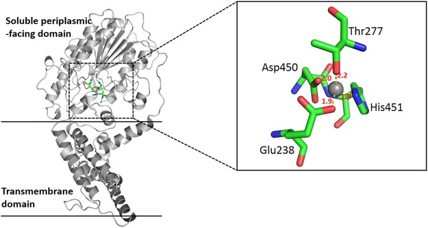 FIG 3